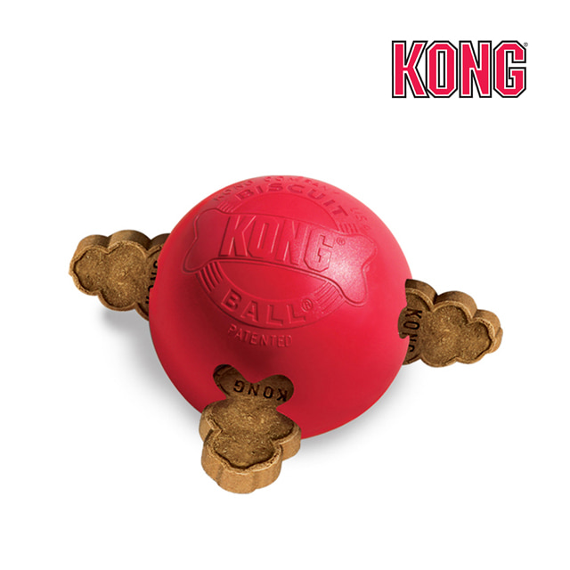 콩(KONG) 비스킷볼 소/대 강아지 간식장난감