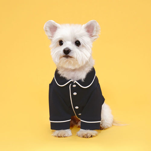 플로트 홈웨어 실내복 파자마셔츠 네이비 소형견 중형견 강아지옷