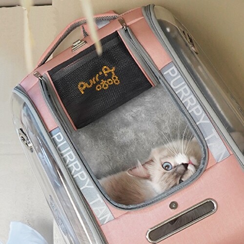 레드퍼피 탱킷 이동가방 고양이 이동가방