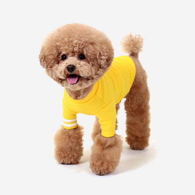 로로독 치얼업티셔츠 강아지옷 Yellow 애견의류