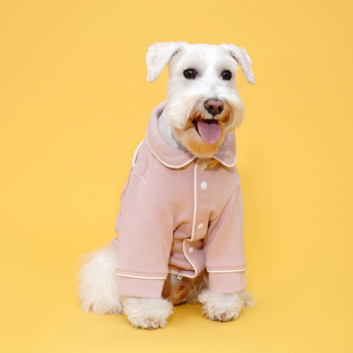 플로트 홈웨어 실내복 파자마셔츠 인디핑크 소형견 중형견 강아지옷