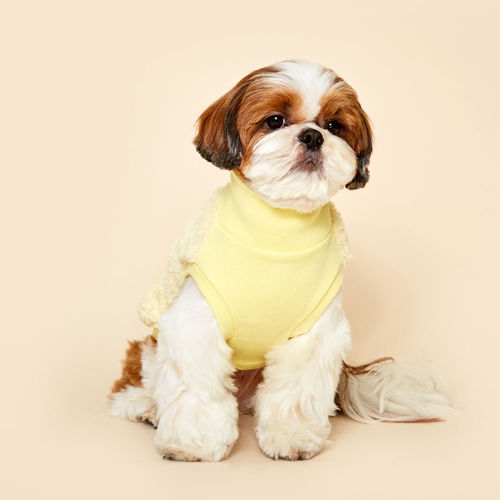 플로트 플러피 후리스 하프넥 민소매 레몬 소형견 중형견 강아지옷