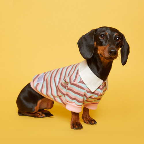 플로트 스트라이프 럭비 셔츠 핑크스카이 소형견 중형견 강아지옷