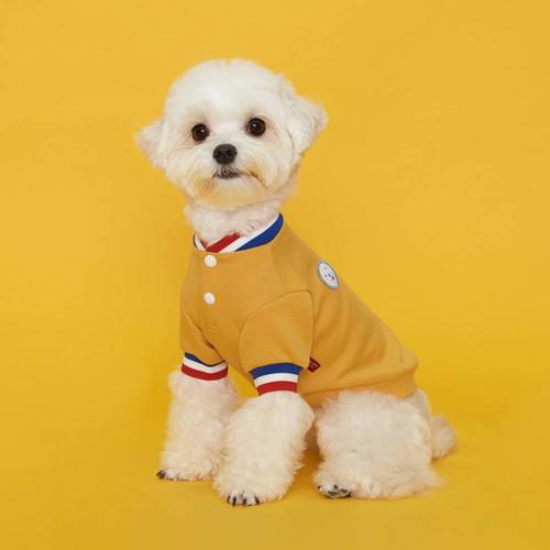 플로트 스냅 단추 티셔츠 옐로우 소형견 중형견 강아지옷
