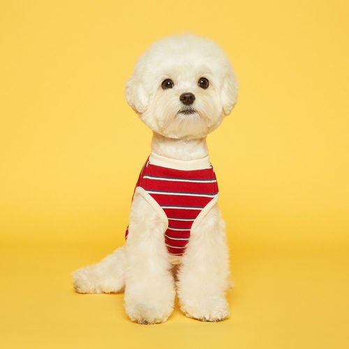 플로트 스탠다드 민소매 티셔츠 레드아이보리 소형견 중형견 강아지옷