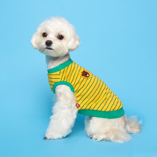 플로트X테디아일랜드 나시 민소매 면 티셔츠 옐로우 소형견 중형견 강아지옷