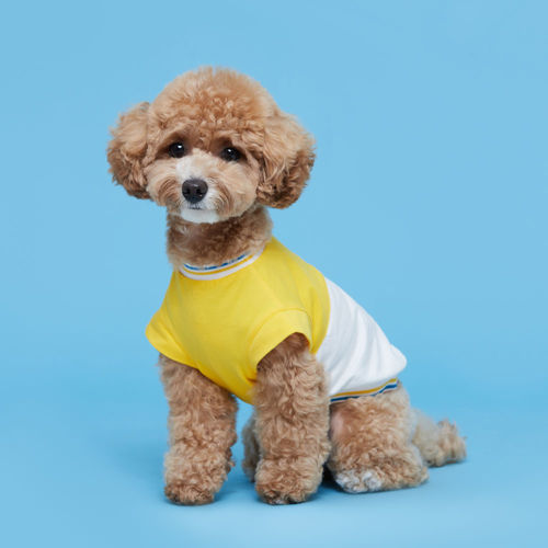 플로트 블록 민소매 티셔츠 옐로우 드랍숄더핏 소형견 중형견 강아지옷