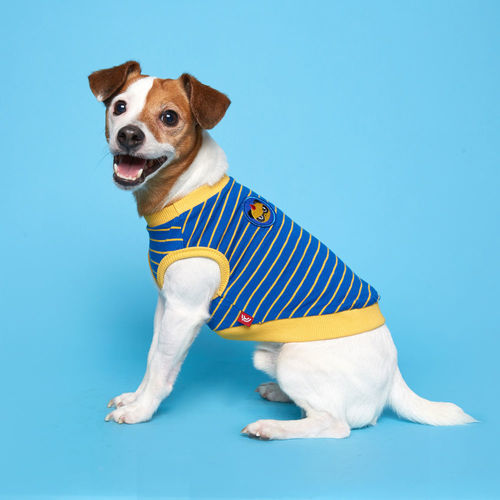 플로트X테디아일랜드 나시 민소매 면 티셔츠 블루 소형견 중형견 강아지옷
