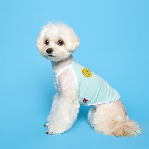 플로트 파스텔 컬러 나시 민소매 티셔츠 파스텔그린 소형견 중형견 강아지옷