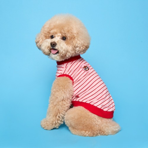 플로트X테디아일랜드 나시 민소매 면 티셔츠 핑크 소형견 중형견 강아지옷