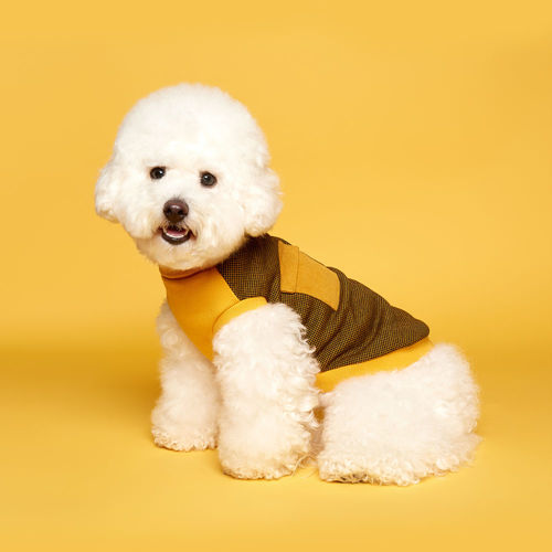 플로트 체크 민소매 목폴라 터틀넥 티셔츠 옐로우 소형견 중형견 강아지옷