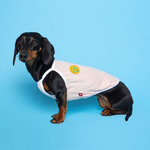 플로트 파스텔 컬러 나시 민소매 티셔츠 파스텔핑크 소형견 중형견 강아지옷