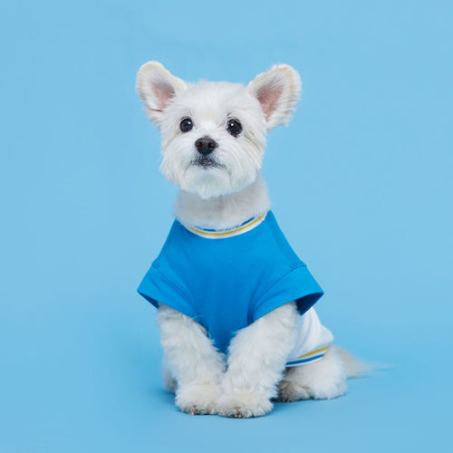 플로트 블록 민소매 티셔츠 블루 드랍숄더핏 소형견 중형견 강아지옷