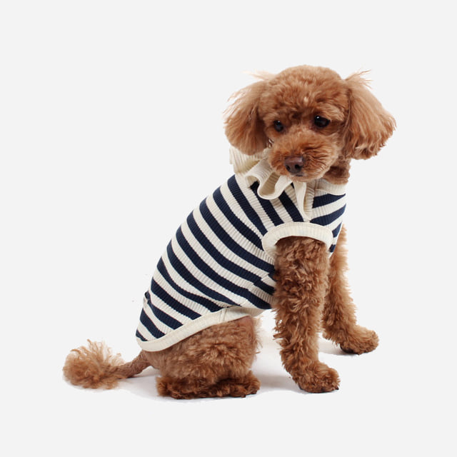 로로독 팝 티셔츠 강아지옷 네이비 애견의류