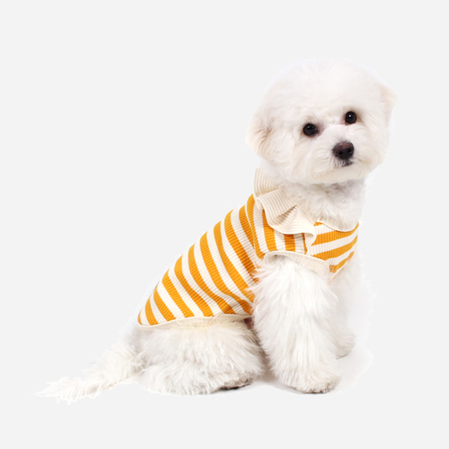 로로독 팝 티셔츠 강아지옷 옐로우 애견의류