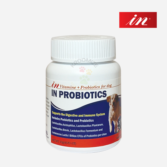 [오프라인전용] 인 프로바이오틱스 45너겟 유산균 영양제