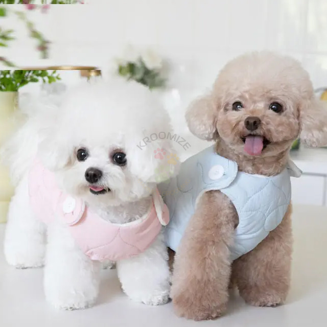 이보개 vchong pet 하트 퀄팅 단추 패딩 강아지옷