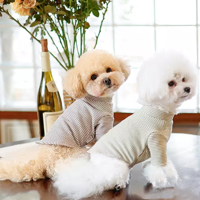 이보개 Dolly pet 베이직 스트라이프 티셔츠 강아지옷
